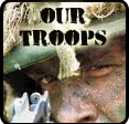 our troops